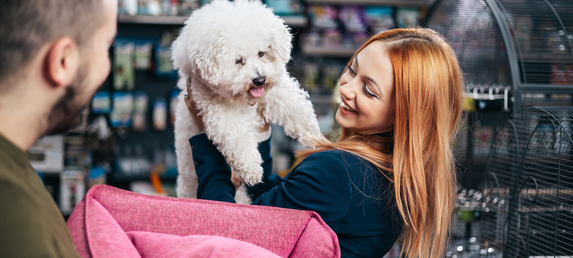 A rescue dog interacting with new owners at an event